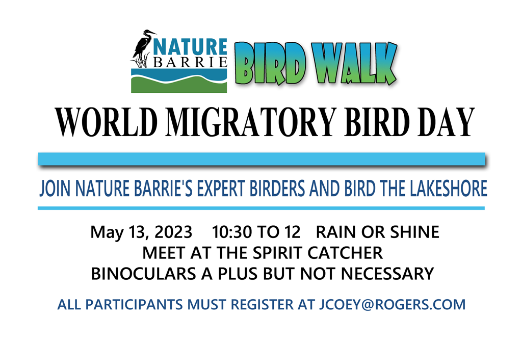 World Migratory Bird Day May 13, 2023